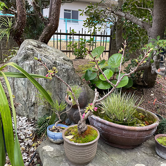 shin0719さんの部屋