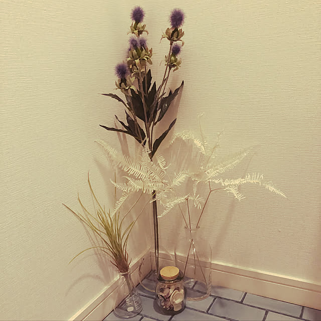 玄関/入り口/ナチュラル/一人暮らし/雑貨/観葉植物...などのインテリア実例 - 2018-04-13 16:25:33