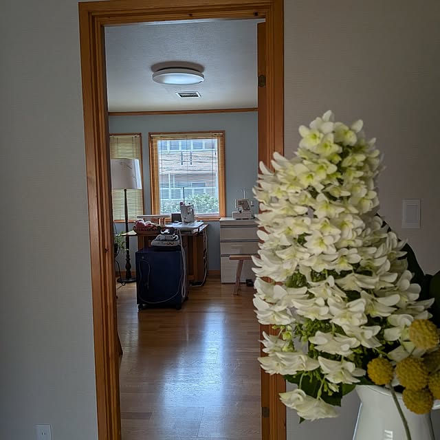 botanさんの部屋