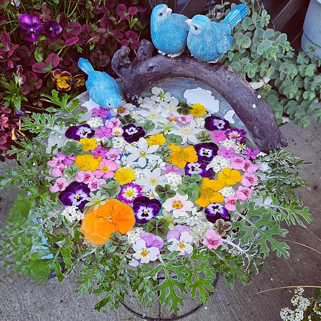 mocomocoさんの実例写真