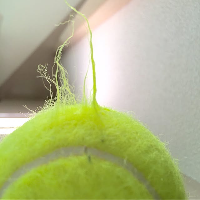 Mopmamaさんの実例写真
