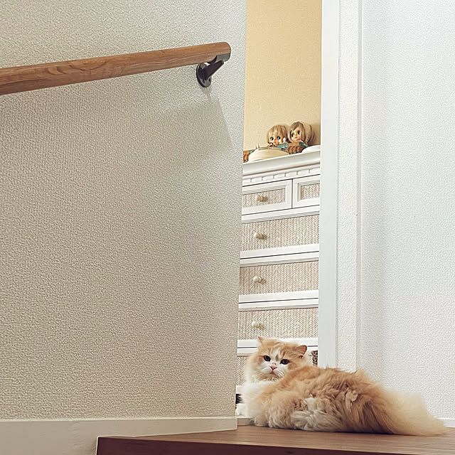 yuuchoさんの実例写真
