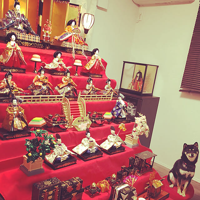 部屋全体/ひな祭り/柴犬のインテリア実例 - 2018-03-15 20:52:15