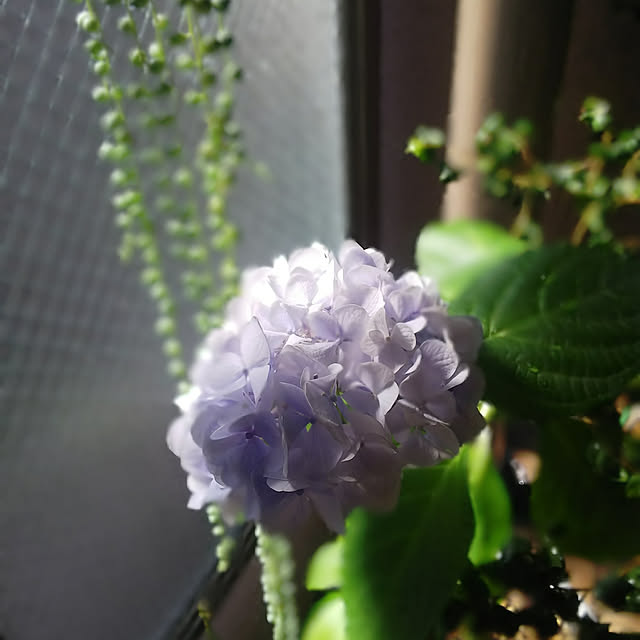 n0516さんの実例写真