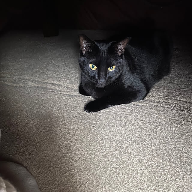 aoaomiさんの部屋