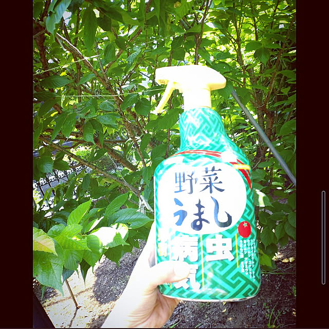mntcさんの実例写真