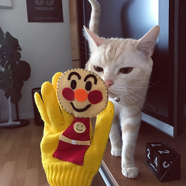 hiyupan88さんの実例写真