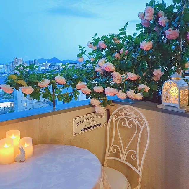 twinkle-butterfly38さんの実例写真