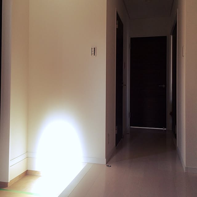 YUUさんの実例写真