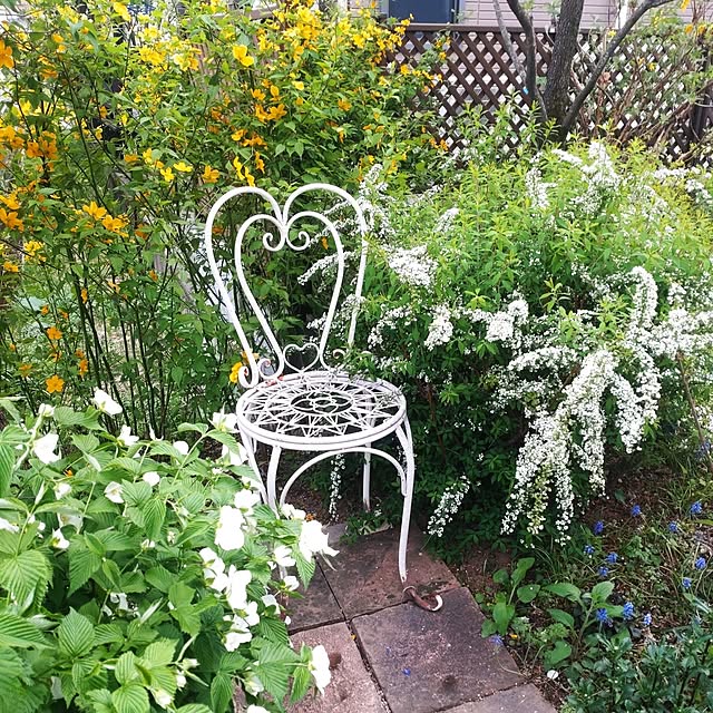 Hujikoさんの実例写真