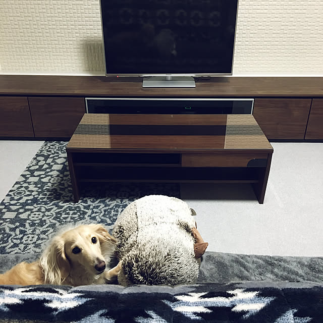 miro_n_chiさんの実例写真