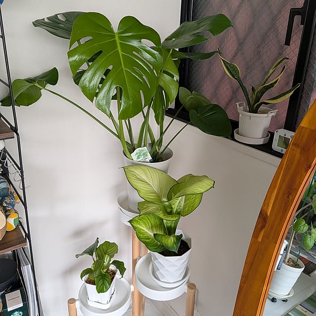 kolo92さんの実例写真