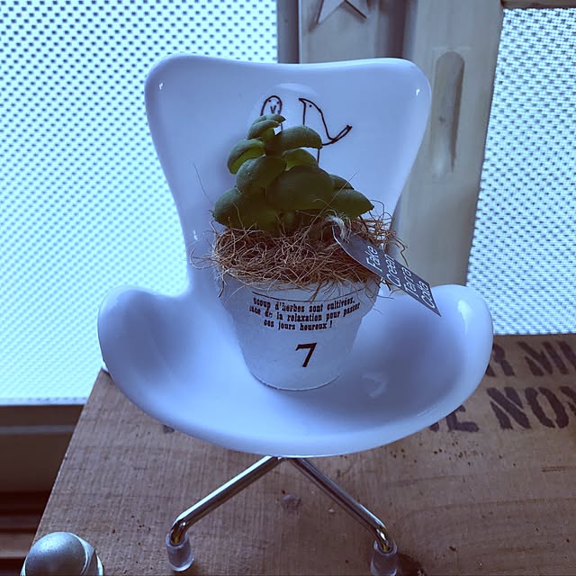 seroriさんの実例写真