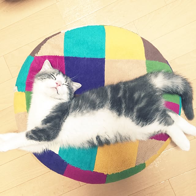 tansukeさんの実例写真