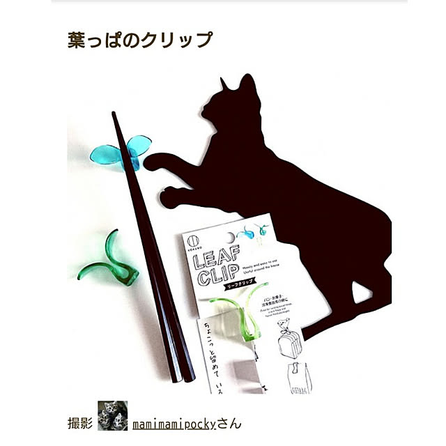 mamimamipockyさんの実例写真