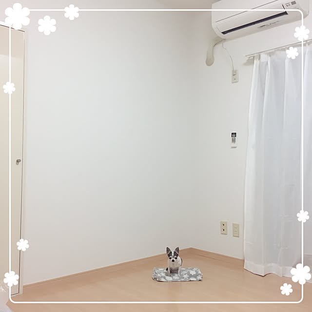 Emiさんの実例写真
