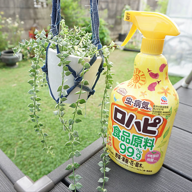 asさんの実例写真