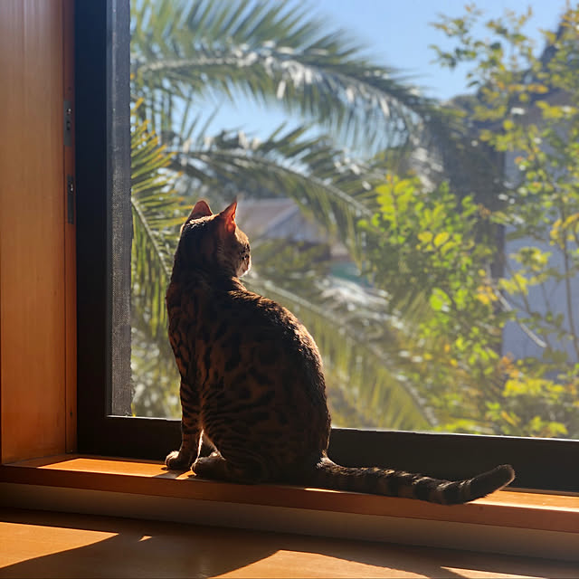 kabu10さんの実例写真