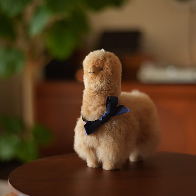 senさんの実例写真