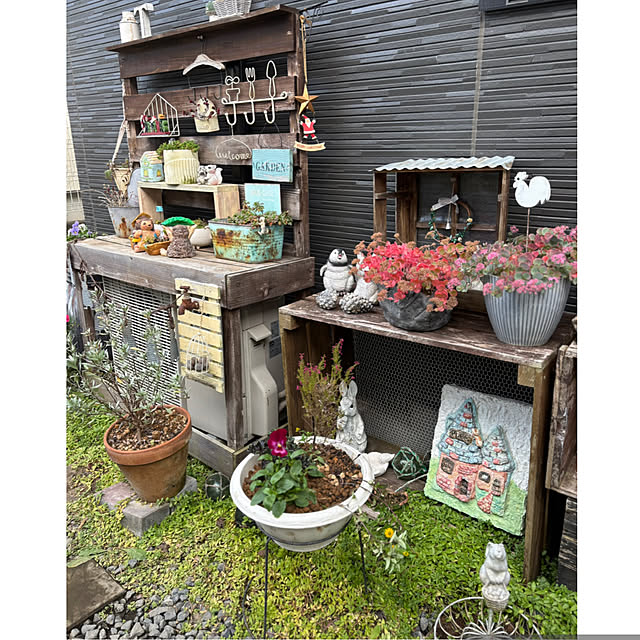 CoCo0617さんの部屋