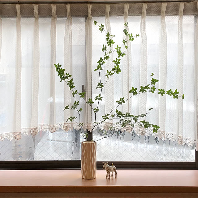 katoponさんの実例写真