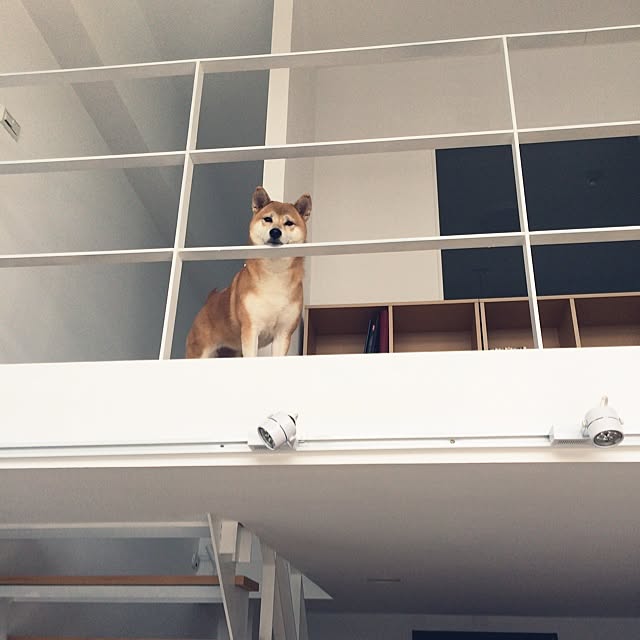 kshsnewさんの実例写真