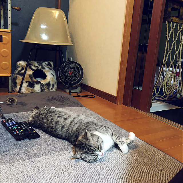 Shojiさんの実例写真