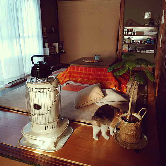 fukuさんの実例写真