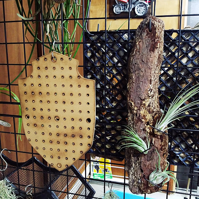 Daiさんの実例写真