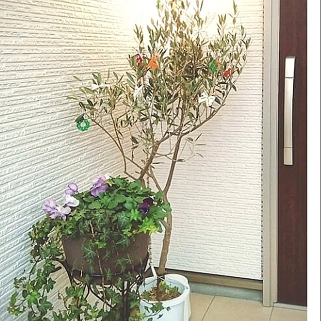 aquaさんの部屋
