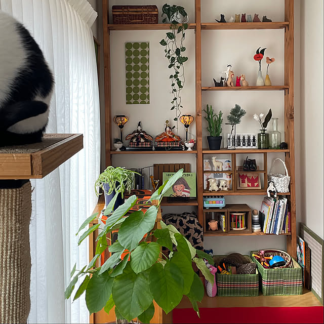 nobikoさんの部屋