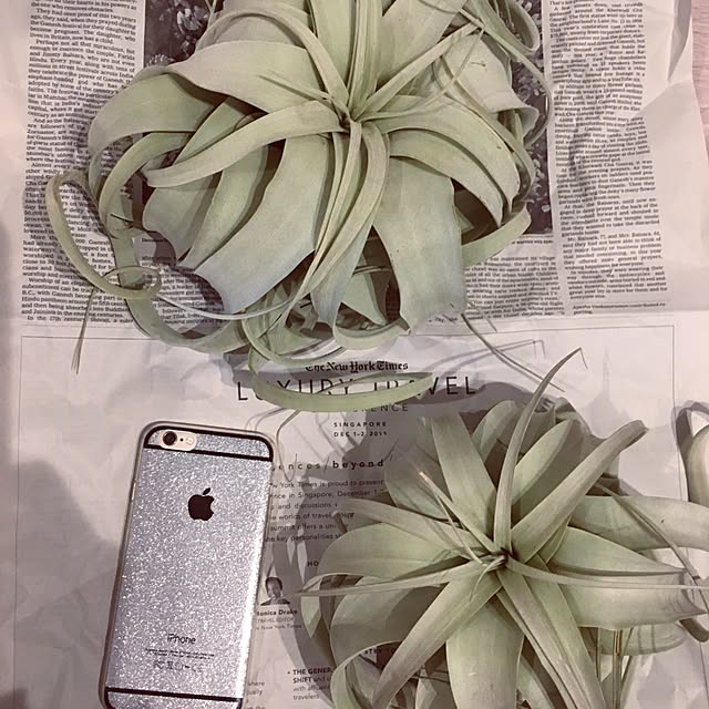 Akinaさんの実例写真