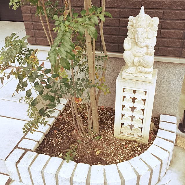 achuさんの実例写真