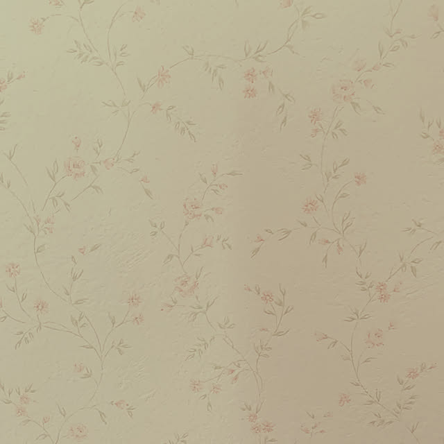 hiromiさんの実例写真