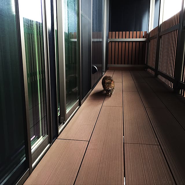 meloさんの実例写真