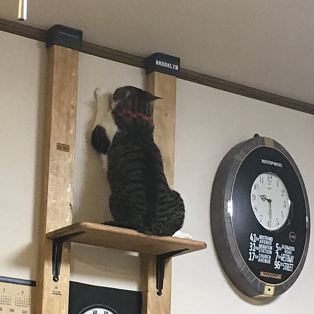 Rumiさんの実例写真