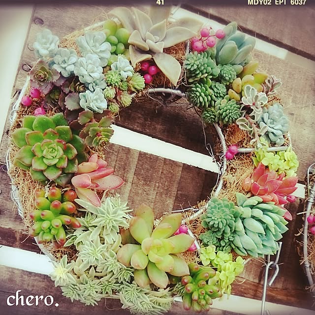 chero.さんの実例写真