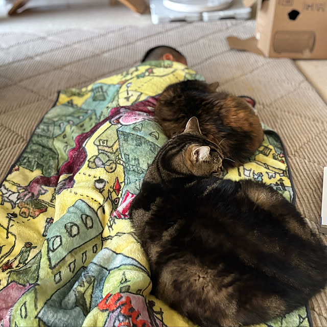 mikomaruさんの実例写真