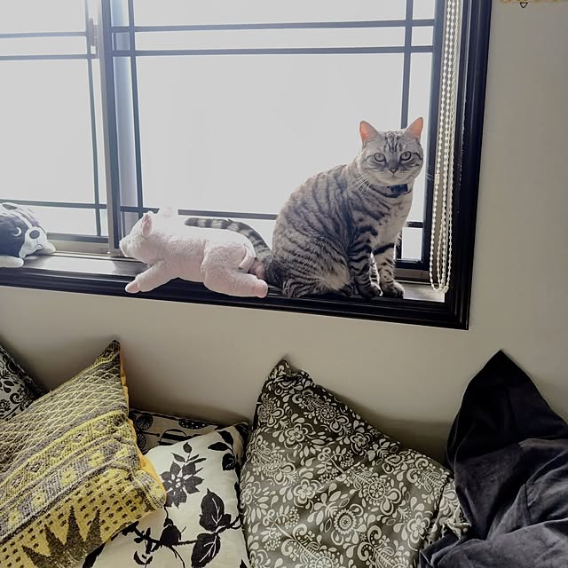 hiro3さんの部屋