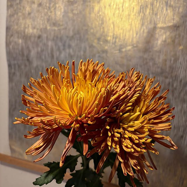 fav_thingさんの部屋