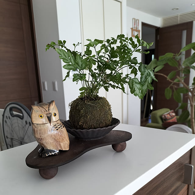 coco0.84.さんの実例写真