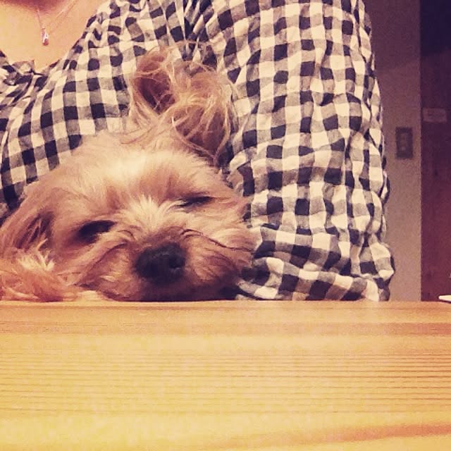 popiさんの実例写真