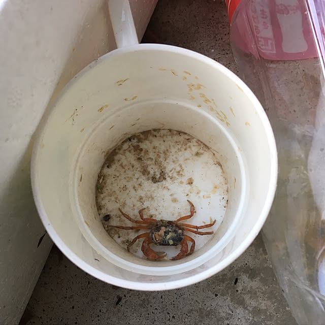 sakuranboさんの実例写真