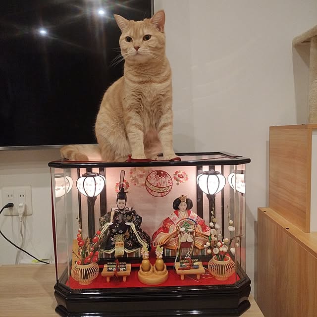 ayumiさんの実例写真