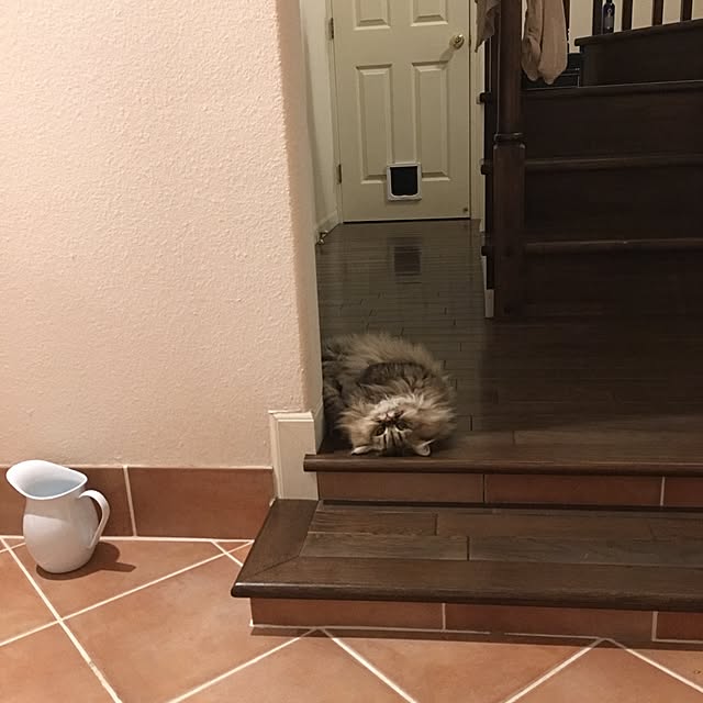 rukaさんの実例写真