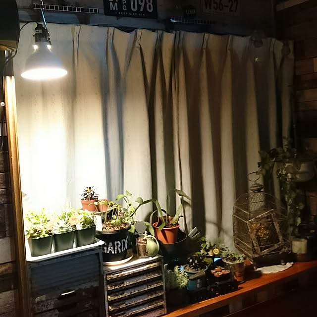 tikuwaさんの実例写真