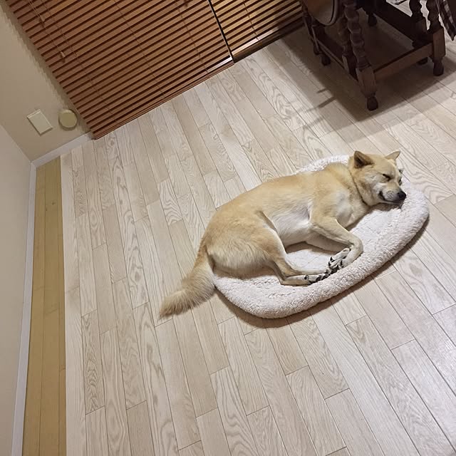 leonaさんの実例写真