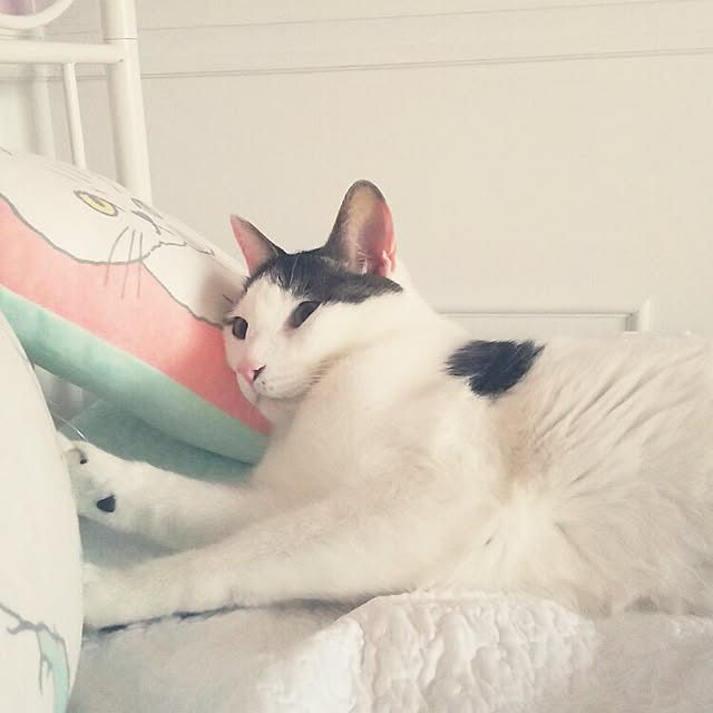 sakuraさんの実例写真