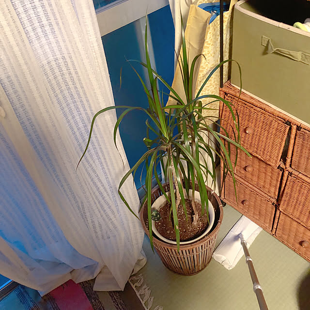 Malamaさんの実例写真