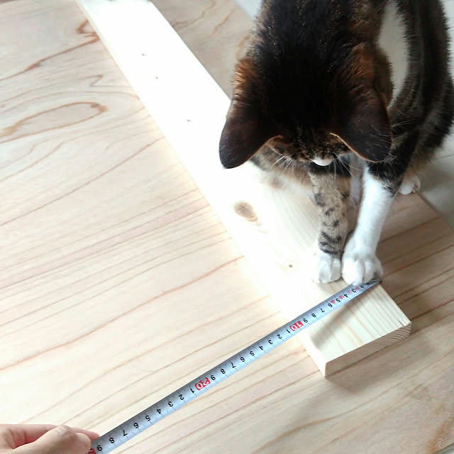 yuuさんの実例写真